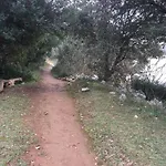 1 Insel Krk Daire Punat